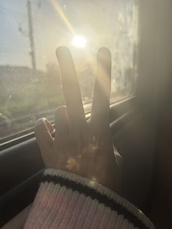 Funsnail page 3 image