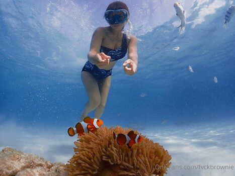 fvckbrownie