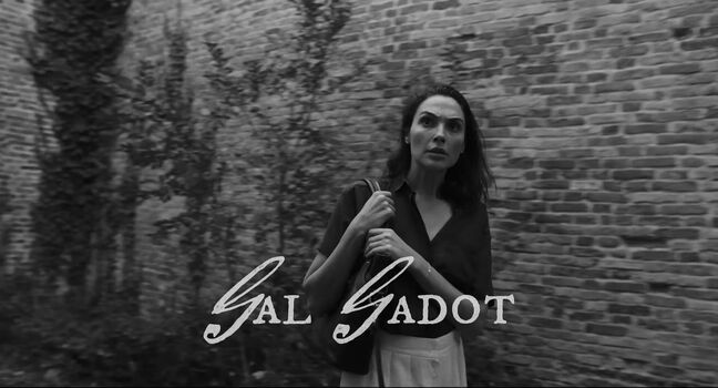 Gal gadot image
