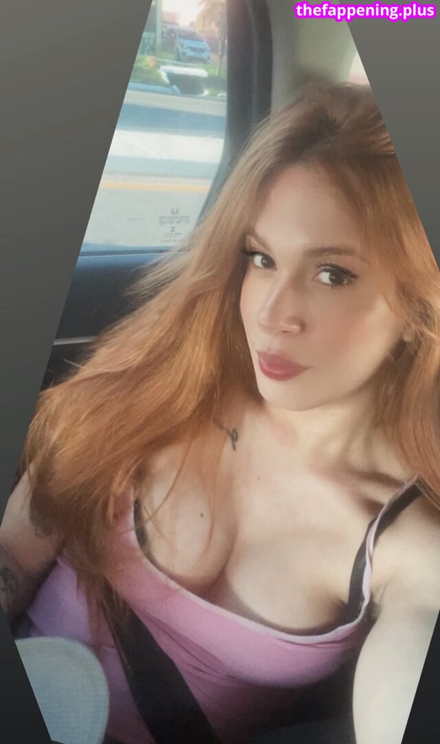 Gatas De Porto Velho