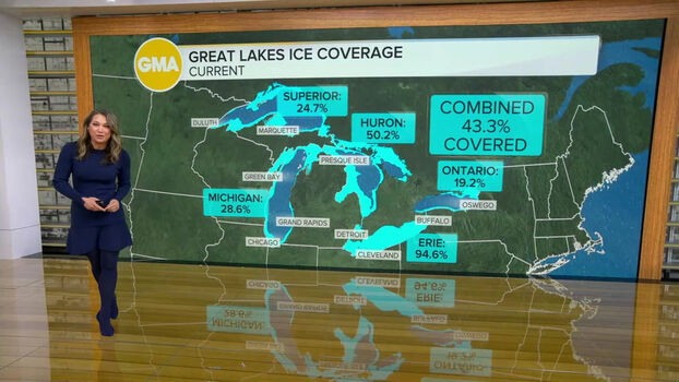 Ginger zee image