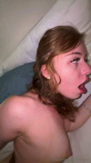 Gingerbunny image