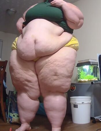 Gingerbunny image