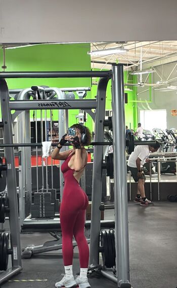 Gisselita maradiaga image