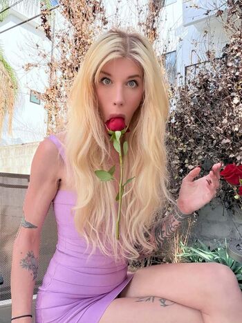 Gray perrier vip image