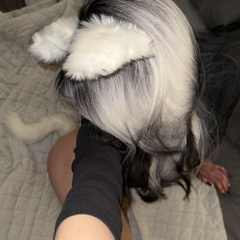 H3ll bunni image