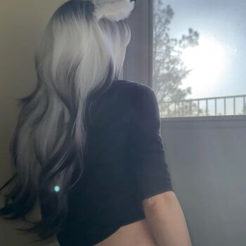 H3ll bunni image