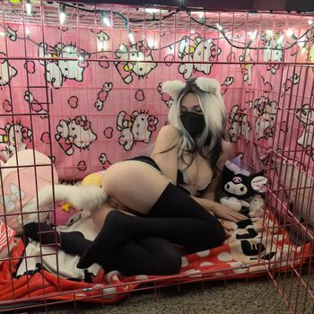 H3ll bunni image