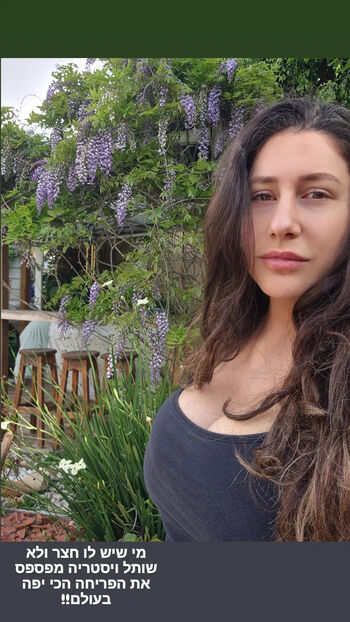 Hadar simon image
