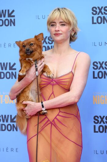 Haley bennett image