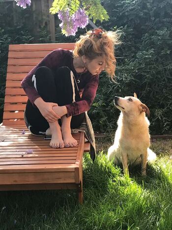 Haley reinhart image