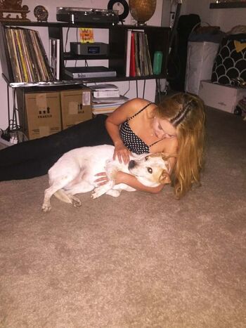 Haley reinhart image