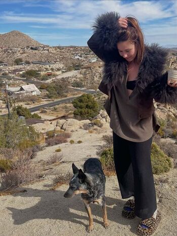 Haley reinhart image