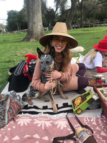 Haley reinhart image