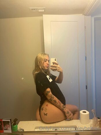 Haleybeltran image