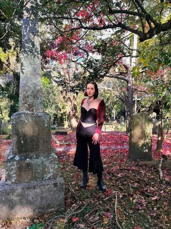 Harley quinn smith image