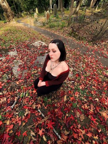 Harley quinn smith image