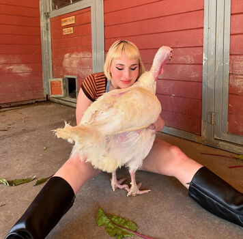 Harley quinn smith image