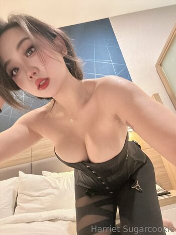 Harrietsugarcookie page 2 image