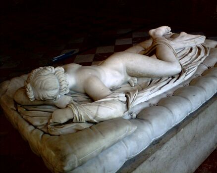 Hermafrodita image