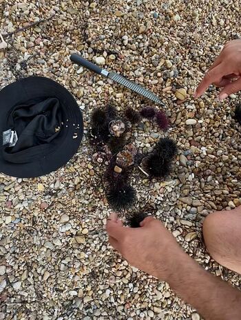 Hilda kertalli image