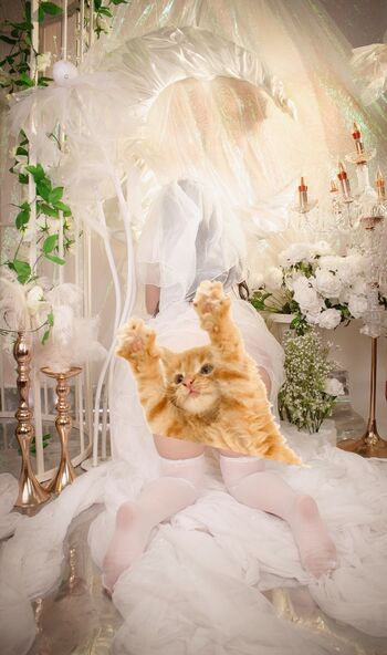 Hinata neko page 2 image