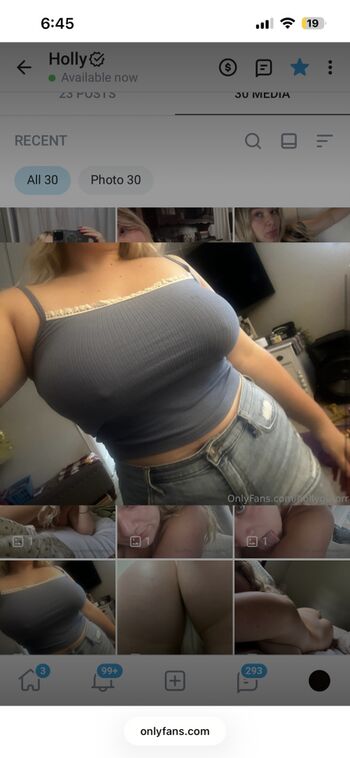 Hollygatorr image