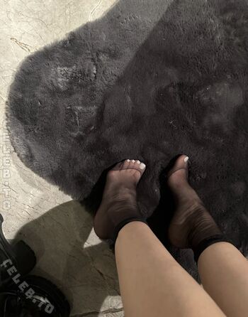 Hollyloly page 2 image