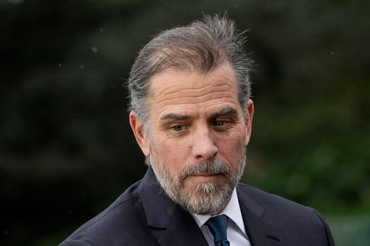 Hunter biden page 2 image