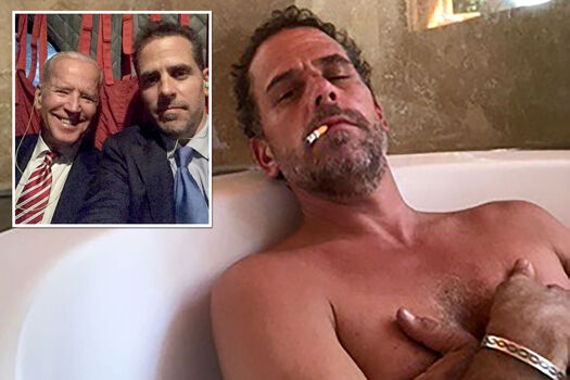 Hunter biden image