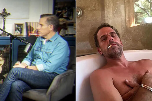 Hunter biden image