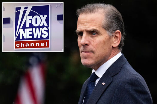 Hunter biden image