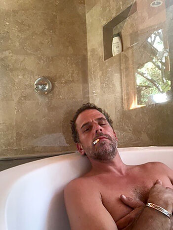 Hunter biden image