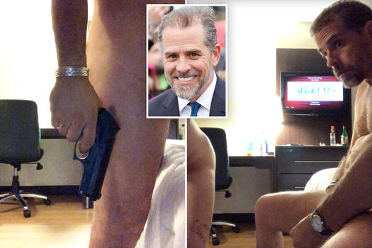 Hunter biden image