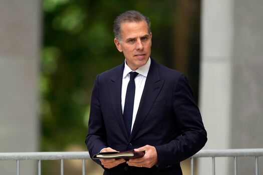 Hunter biden image