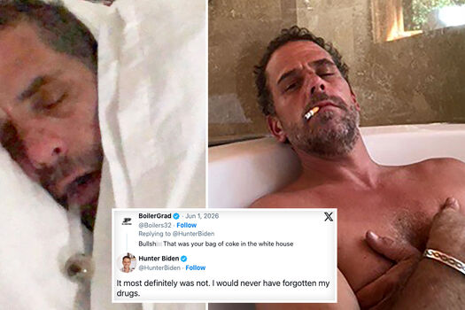 Hunter biden image