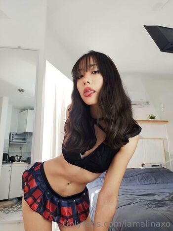 Iamalinaxo image