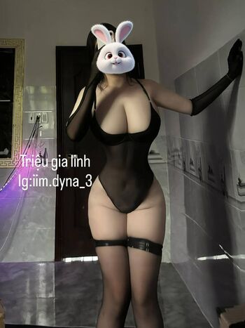 Iim dyna 3 image