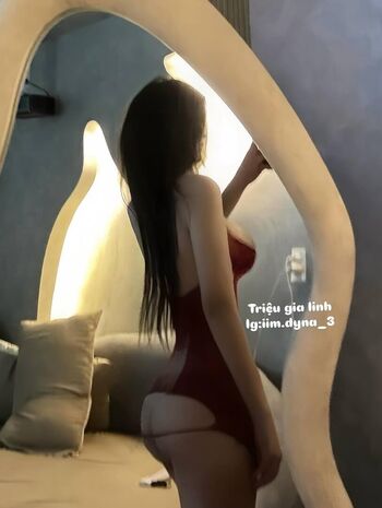 Iim dyna 3 image