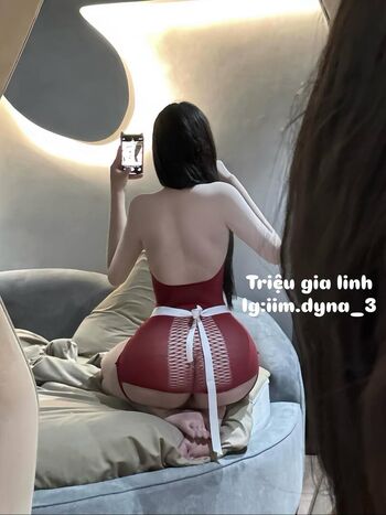 iim.dyna_3