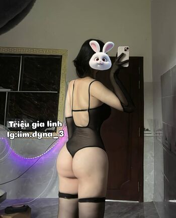 Iim dyna 3 image
