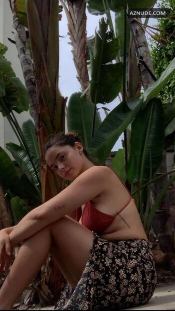 Indenavarrette image