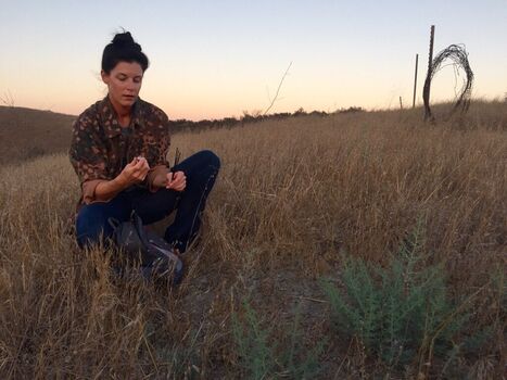 India summer page 5 image