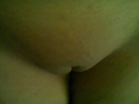 Indian exhibition image