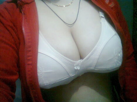 Indian exhibition image