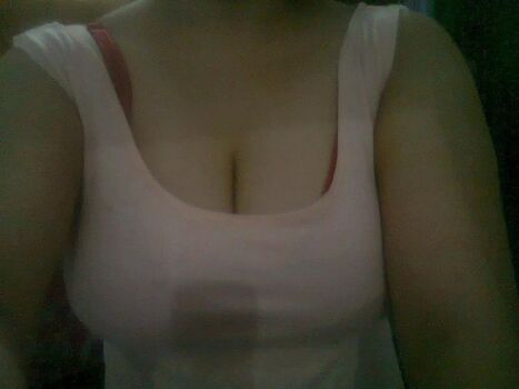 Indian exhibition image