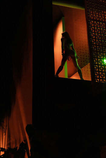 Inga lis page 5 image