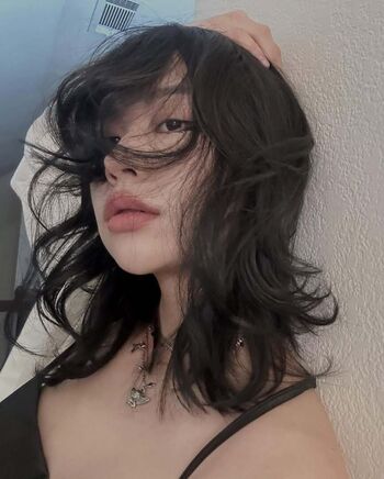 Iris biidan image