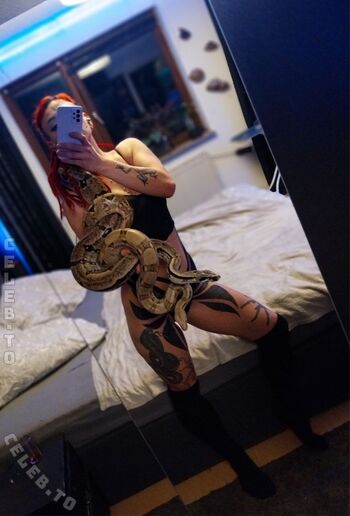 Iry rose image