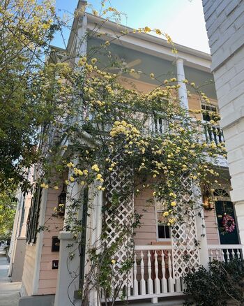 Itscarlyjane 1 page 2 image